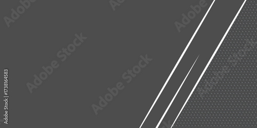 Abstract: High-resolution image of a metallic surface with diagonal gray background with diagonal lines and blurred edges, vector illustration, simple design. white background with diagonal lines. 