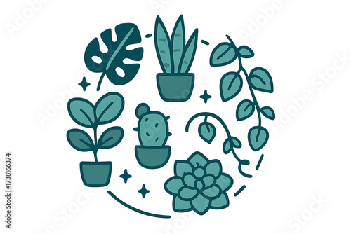 Collection of various potted houseplants and succulents in a circular arrangement