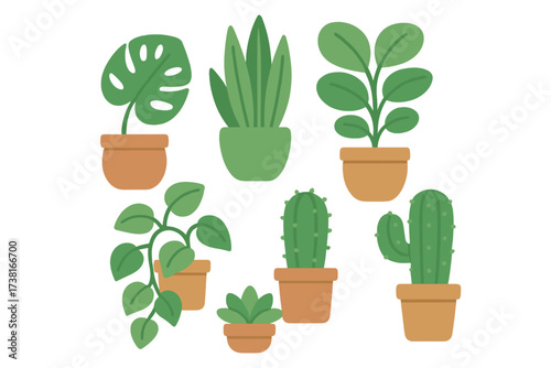 Collection of diverse potted houseplants including monstera, snake plant, and cacti