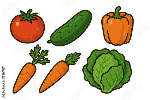 Assortment of fresh organic vegetables including tomato cucumber pepper carrots and lettuce