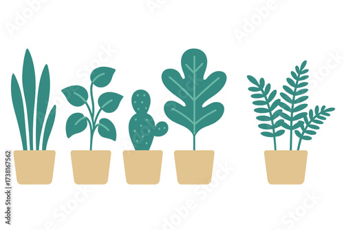 Collection of various potted green houseplants and succulents in a row