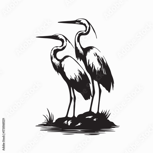 Graceful Egret Birds on Rock in Lake Silhouette Design Vector