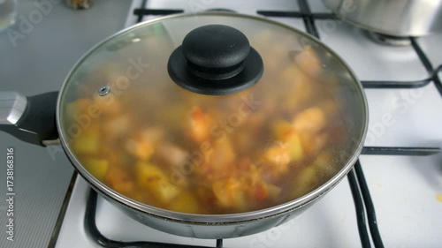 Chicken potatoes stew cooking on gas stove under lid in frying pan on kitchen. Culinary techniques, homemade preparing healthy meal cook meat vegetables food, organic cuisine from fresh ingredients.