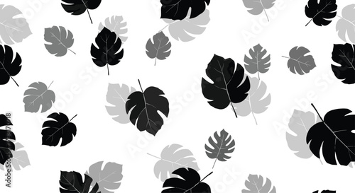 Monstera leaves pattern in black and grey.