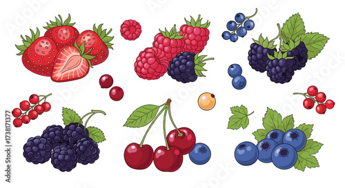 A collection of fresh berries for a healthy diet and delicious recipes.