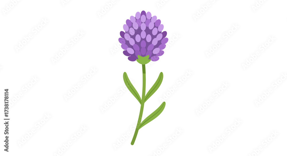 Fototapeta premium Delicate purple wildflower with vibrant petals and graceful green stem illustration