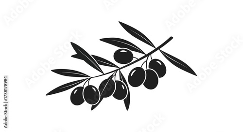 Elegant olive branch vector illustration presenting a minimalist design perfect for branding