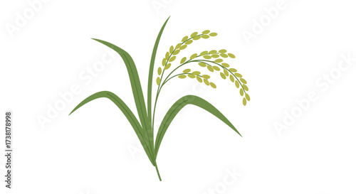 Elegant rice plant illustration, showcasing nature's bounty and simple design appeal
