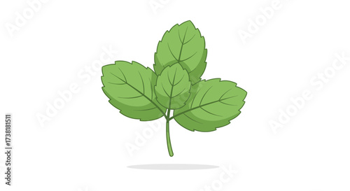 Stylized botanical illustration of fresh green mint leaves on a pure white backdrop