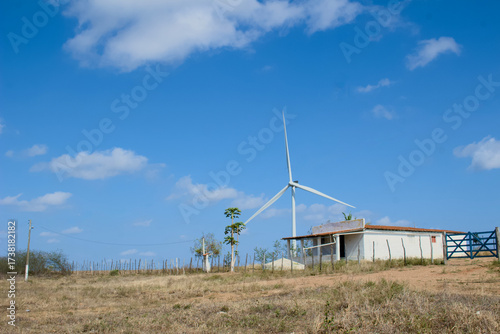 wind turbines farm, currais novos, nordeste, brazil