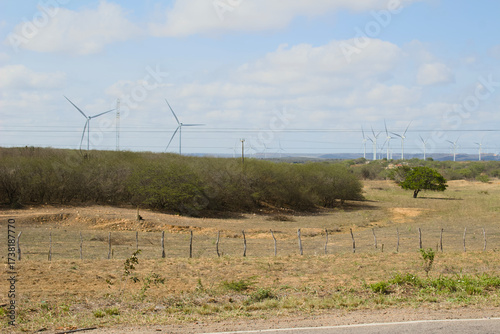 wind turbines farm, currais novos, nordeste, brazil