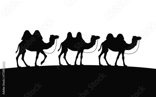 Three camel silhouettes traveling across a desert horizon