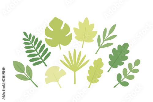 Assortment of diverse green botanical leaves and natural foliage elements on a clean white background