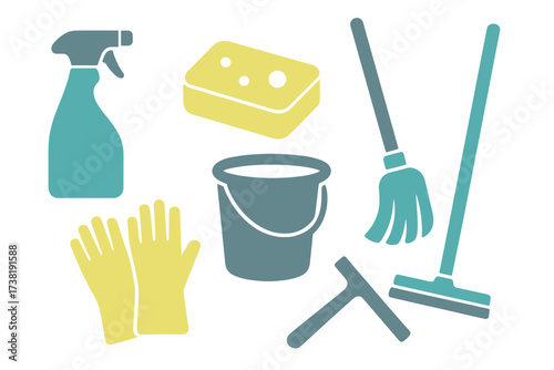 Household cleaning supplies collection with various tools for domestic chores