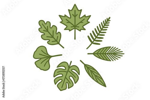 Collection of diverse green leaves showcasing various plant species and botanical shapes