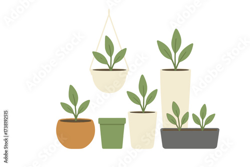 Assorted potted green plants for home decoration and indoor gardening
