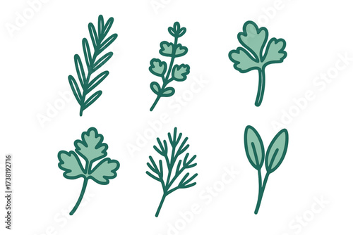 Collection of stylized green herbs and leaves for cooking and botanical designs