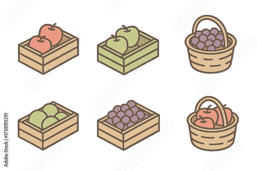 Assortment of fresh apples and grapes in wooden crates and woven baskets