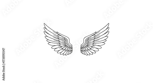 Detailed wings vector illustration for tattoo design and spiritual art project showing freedom and