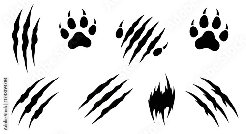 Dynamic animalistic claw mark vectors in black ink, expressive danger elements design, wildlife