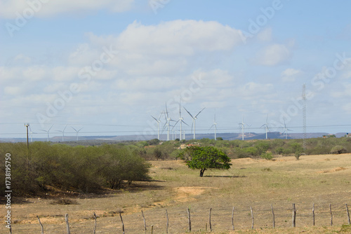 wind turbines farm, currais novos, nordeste, brazil