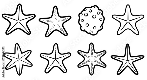 Black and white line art drawing of starfish and sea sponge variations marine life