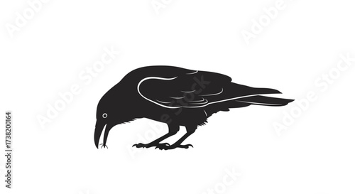 Monochrome raven silhouette art foraging for food on a crisp white background design