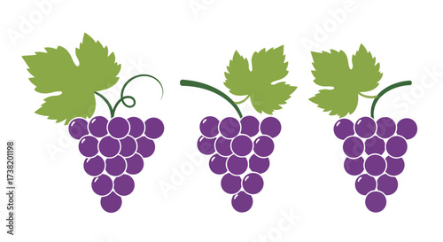Stylized grape cluster icons symbolizing fruitfulness and a harvest season theme