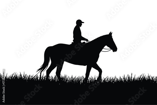 Equestrian silhouette rider on horse against white sky with grass