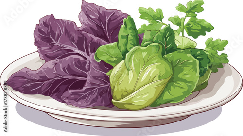 Fresh Plate of Colorful Vegetables with Purple Leaf and Green Background