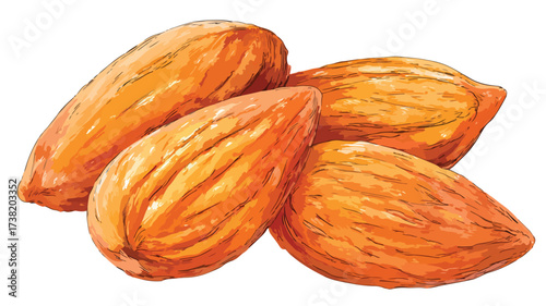 Delicious Almonds Nuts Superfood Food Vector Illustration