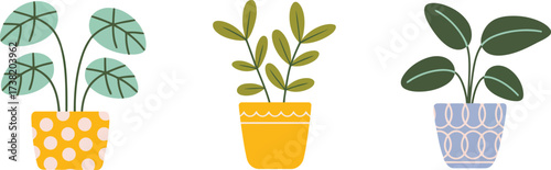 Brighten your space with these charming potted plants, a simple yet elegant touch bringing life and color to any home or office decor