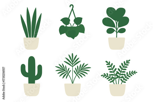 Diverse collection of green potted houseplants and succulents for modern interior design