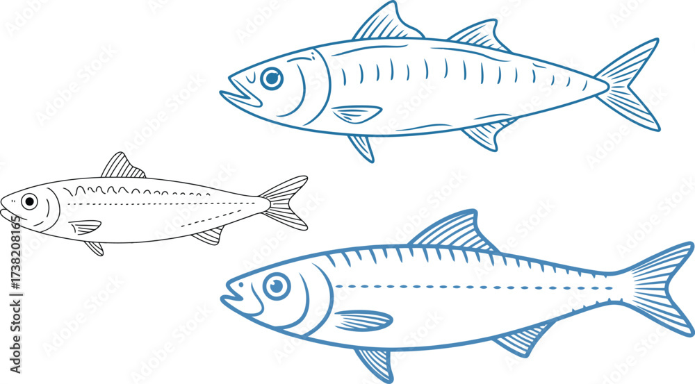 Fototapeta premium Fresh catch of the day three beautiful fish swimming in the ocean ready for a delicious meal in a modern seafood restaurant or fish market today