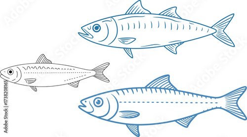 Fresh catch of the day three beautiful fish swimming in the ocean ready for a delicious meal in a modern seafood restaurant or fish market today