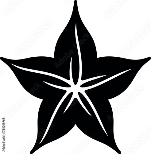 Black starfruit silhouette on white vector