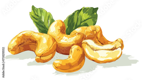 Delicious Cashews Nuts Vector Art Food Illustration for Culinary Design Projects