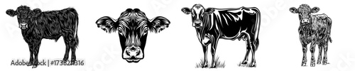 Modern Australian Cow illustration with a sleek silhouette set against a plain white background