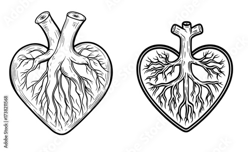 A stylized image of an anatomical heart in silhouette includes detailed arteries and veins