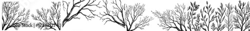 The outline of bare tree limbs forms a dramatic monochrome design