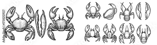 Varied poses of crabs and lobsters are showcased in a silhouette collection