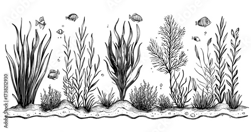 A silhouette collection of marine life, including corals and fish, in an underwater setting