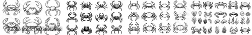 Collection of silhouettes featuring assorted crab and lobster designs in black
