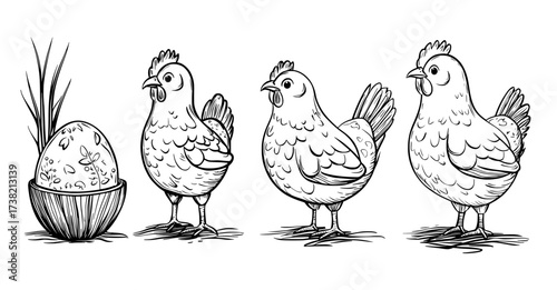 Image of eight beautifully designed birds with detailed patterns