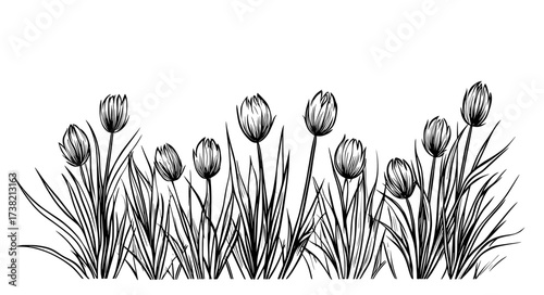 Diverse wildflowers are featured in a set of black silhouetted floral designs