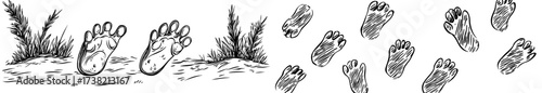 A white background features an assortment of animal footprints in different sizes