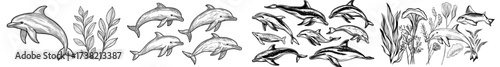 Collection of black dolphin shapes in different poses and movements