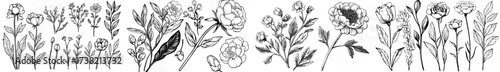 An illustration featuring black and white floral silhouettes accompanied by diverse botanical elements