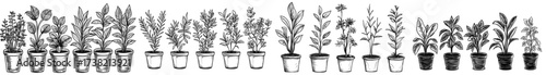 Outlines of different potted plants with varied leaf forms