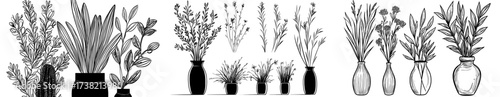 A minimalist design pattern featuring silhouettes of plants and vases has been collected